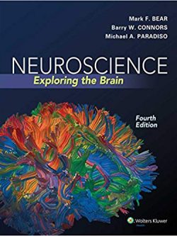 Neuroscience: Exploring the Brain 4th edition by: Mark F. Bear PDF eBook
